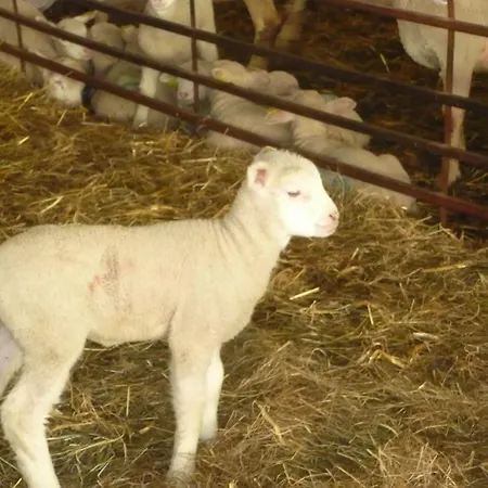Tranquille Avec Cheminee, Terrasse Sur La Saone Et Borne Ev, Animaux Bienvenus * Nonville