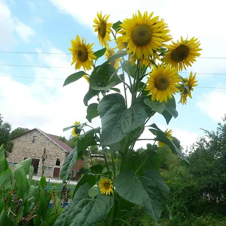 Dom wakacyjny Tranquille Avec Cheminee, Terrasse Sur La Saone Et Borne Ev, Animaux Bienvenus - Fr-1-589-103