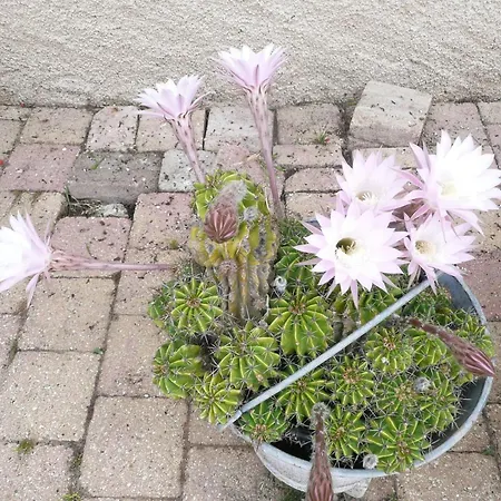 Tranquille Avec Cheminee, Terrasse Sur La Saone Et Borne Ev, Animaux Bienvenus - Fr-1-589-103 펜션 Nonville