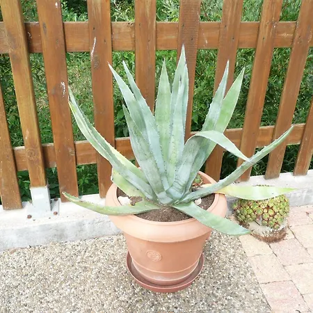 Tranquille Avec Cheminee, Terrasse Sur La Saone Et Borne Ev, Animaux Bienvenus - Fr-1-589-103 * Nonville