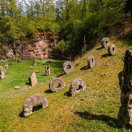 Tranquille Avec Cheminee, Terrasse Sur La Saone Et Borne Ev, Animaux Bienvenus - Fr-1-589-103