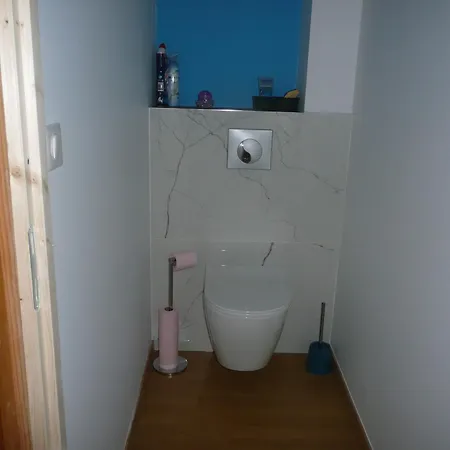 Tranquille Avec Cheminee, Terrasse Sur La Saone Et Borne Ev, Animaux Bienvenus - Fr-1-589-103