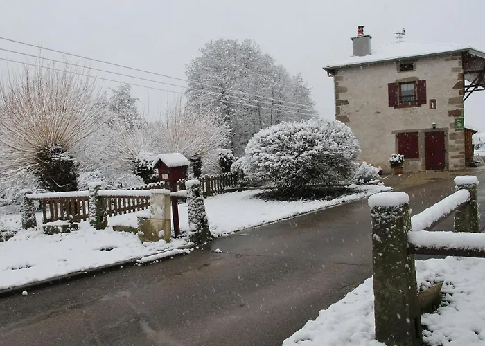 Tranquille Avec Cheminee, Terrasse Sur La Saone Et Borne Ev, Animaux Bienvenus - Fr-1-589-103 Semesterbostad