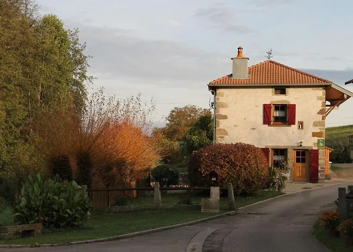 Semesterbostad Tranquille Avec Cheminee, Terrasse Sur La Saone Et Borne Ev, Animaux Bienvenus - Fr-1-589-103 *