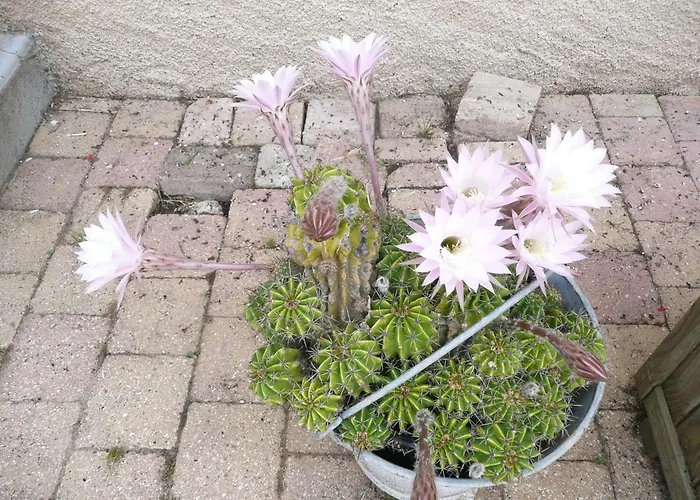 Tranquille Avec Cheminee, Terrasse Sur La Saone Et Borne Ev, Animaux Bienvenus - Fr-1-589-103 Holiday home Nonville