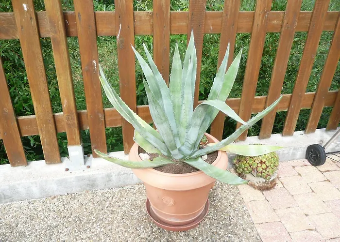 Tranquille Avec Cheminee, Terrasse Sur La Saone Et Borne Ev, Animaux Bienvenus - Fr-1-589-103 * Nonville