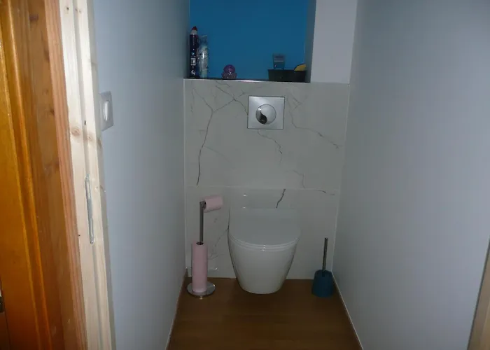 Tranquille Avec Cheminee, Terrasse Sur La Saone Et Borne Ev, Animaux Bienvenus - Fr-1-589-103 Semesterbostad *