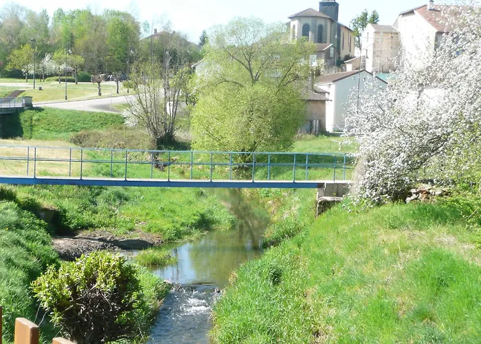 Holiday home Tranquille Avec Cheminee, Terrasse Sur La Saone Et Borne Ev, Animaux Bienvenus - Fr-1-589-103 *